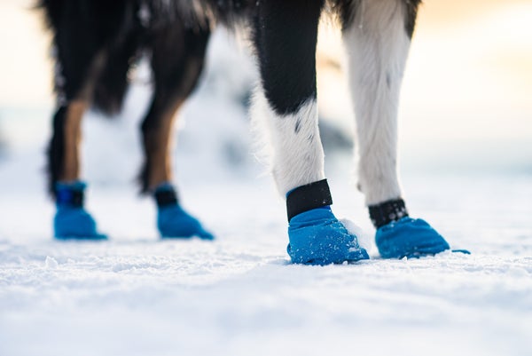 Non-stop Dogwear Protective Boots Blue, 4 pcs