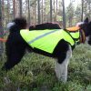 KarDog PURE Kevlar GPS High-Visibility Vest, Two-Tone
