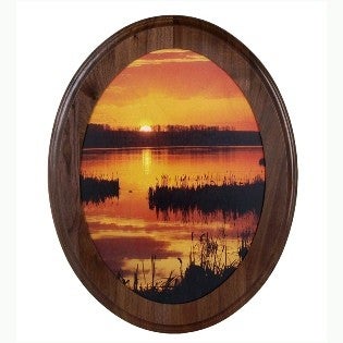 Trophy background landscape lake1