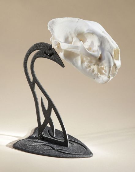 Skull Hooker Table Hooker Table Stand